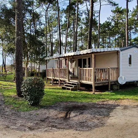 Smala * Saint-Julien-en-Born