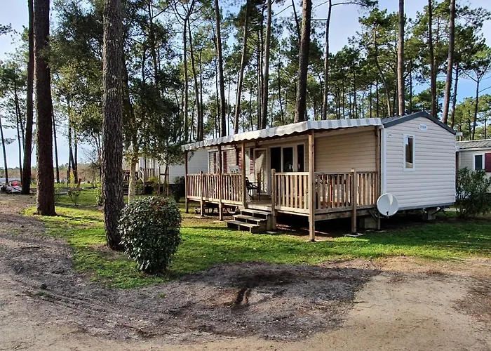 Smala * Saint-Julien-en-Born