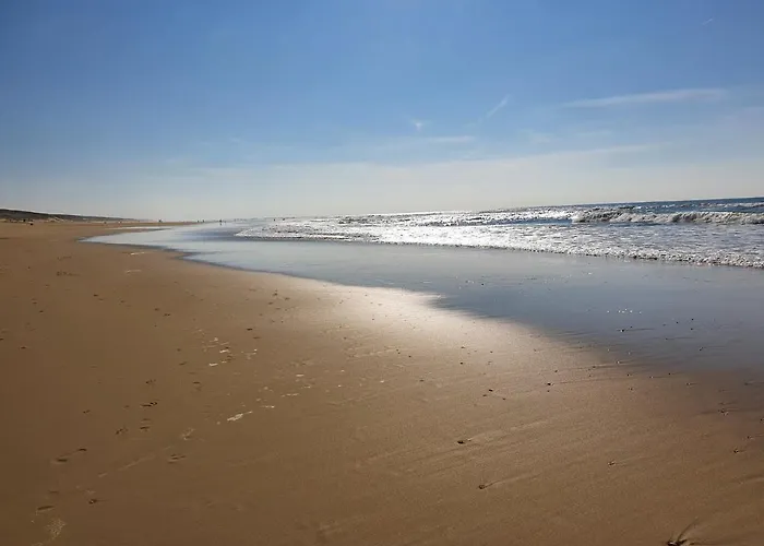 Smala * Saint-Julien-en-Born